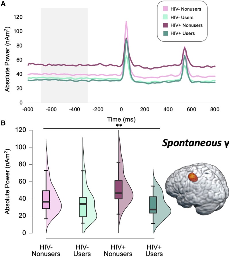 Spontaneous gamma activity in the left primary somatosensory cortex is affected by HIV. (A) Peak voxel time series of the left primary somatosensory cortex were extracted to estimate spontaneous gamma power (nAm2) during the baseline period across all participants (n = 106), which differed by group (32 HIV- non-users, 36 HIV- cannabis users, 19 HIV + non-users, 19 HIV + cannabis users). Specifically, a 1 × 4 ANOVA demonstrated that PWH who did not regularly use cannabis had pathologically elevated spontaneous gamma activity relative to the other three groups (F = 5.78, P = 0.001). (B) Raincloud plots show the distribution of spontaneous gamma power during the baseline per group, with the corresponding boxplots displaying the median, interquartile range, minimum, and maximum relative gamma power values for each group. **P = 0.001, γ, Gamma.