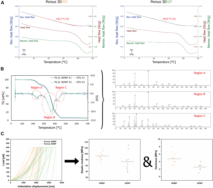 Thermal and mechanical characterization of 3DMIP and 3DNIP(A) TMDSC curves of 3DMIP (left) and 3DNIP (right) showing reversible heat flow, nonreversible heat flow, and heat flow (that is, the sum). Note: the reversible heat flow is plotted at three times the scale of the other signals. Both materials exhibit a broad glass transition region (reversible heat flow curve) with similar Tg values. Tg values are measured in two independent experiments (n = 2); a representative measurement is shown.(B) TG-MS analysis of 3DMIP reveals high thermal stability up to approximately 180 °C, followed by multistep thermal decomposition at higher temperatures. TG and DTG curves (each n = 2) and corresponding mass spectra indicate polymer pyrolysis. In the helium atmosphere, prominent peaks at m/z 41, 69, 87, and 113 were consistently detected across all regions, indicating the presence of HEMA and EGDMA fragments and confirming the absence of CBD after post-processing. See also Figures S11—S16 for further information.(C) Load-displacement curves from quasi-static nanoindentation reflect microstructural heterogeneities (n = 9), as the observed variations indicate. Slight differences in elastic modulus and hardness are attributed to the templating process. Individual measurements are shown as data points, while lines demonstrate the average values.