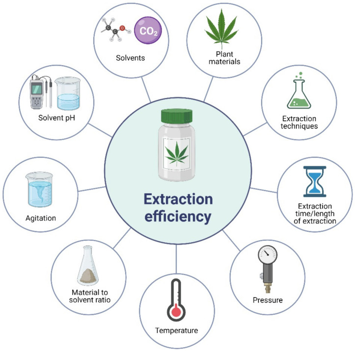 Factors affecting the extraction efficiency of plant bioactive compounds.