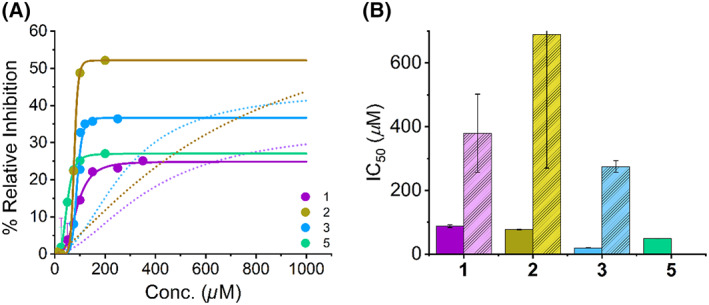 Concentration dependence of MAO‐A inhibition by SCRA compounds. MAO‐A turnover in the presence of three SCRA compounds. (A) Concentration dependence of SCRA compounds 1,3,5 versus rate of MAO‐A turnover at 25 °C. Solid lines are the fit of the data to Eqn (2), dashed lines are fit of corresponding MAO‐B data. (B) Resulting IC50 values depicting the inhibition potency of SCRA compounds 1,3,5, with the corresponding IC50 values for MAO‐B shown in pastel. Conditions, 20 μm MAO‐A, 1 mm KYN, 50 mm HEPES, pH 7.5 + 0.5% Triton X‐100, All data were collected in triplicate and error bars indicate standard error.