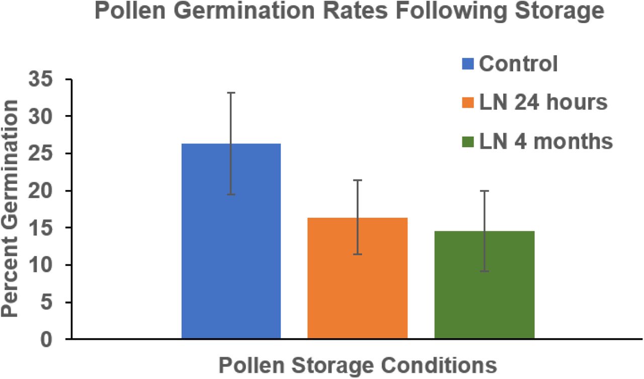 Comparison of pollen germination efficiency between pollen stored in liquid nitrogen for 24 hours, 4 months and non-LN control (control was subjected to same desiccation combined with whole baked wheat flour). Data are shown as average ±SD.
