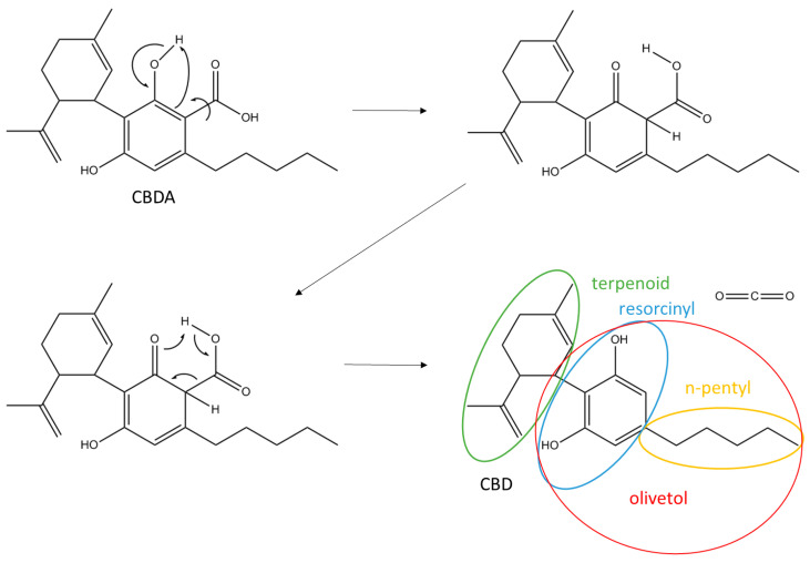 Chemical structure of cannabidiolic acid (CBDA) with a decarboxylation scheme of cannabidiol (CBD).