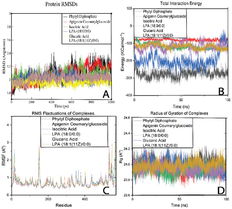 The molecular dynamics simulation results: (A) illustrates the RMSD variation for proteins across different complexes, (B) displays the total interaction energy for each system throughout the simulation, (C) shows the RMSF variation over time, and (D) presents the changes in the radius of gyration (Rg) during the simulation.