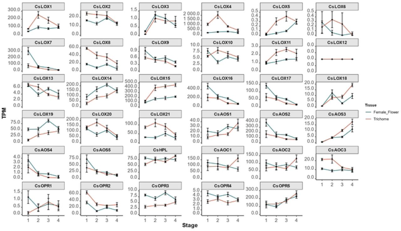 Expression of oxylipin biosynthetic genes across four developmental stages in C. sativa flowers and trichomes.