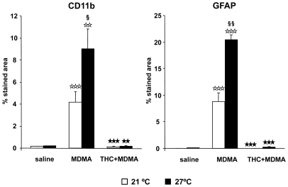 THC prevents MDMA-induced glial activation at both room and warm temperature.CD11b (a) and GFAP (b) staining quantification in mice housed at 21 and 26±1°C. Data are expressed as mean ± SEM of percentage of stained area (n = 3–7). ★★★ p<0.001 when compared with vehicle-treated group. ⋆⋆⋆ p<0.001 when compared with MDMA-treated group. § p<0.05, §§ p<0.01, when compared with animals housed at 21±1°C (Tukey's test or one-way ANOVA).