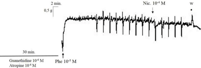 Typical recording traces showing the effect of nicotine (10-4 M)