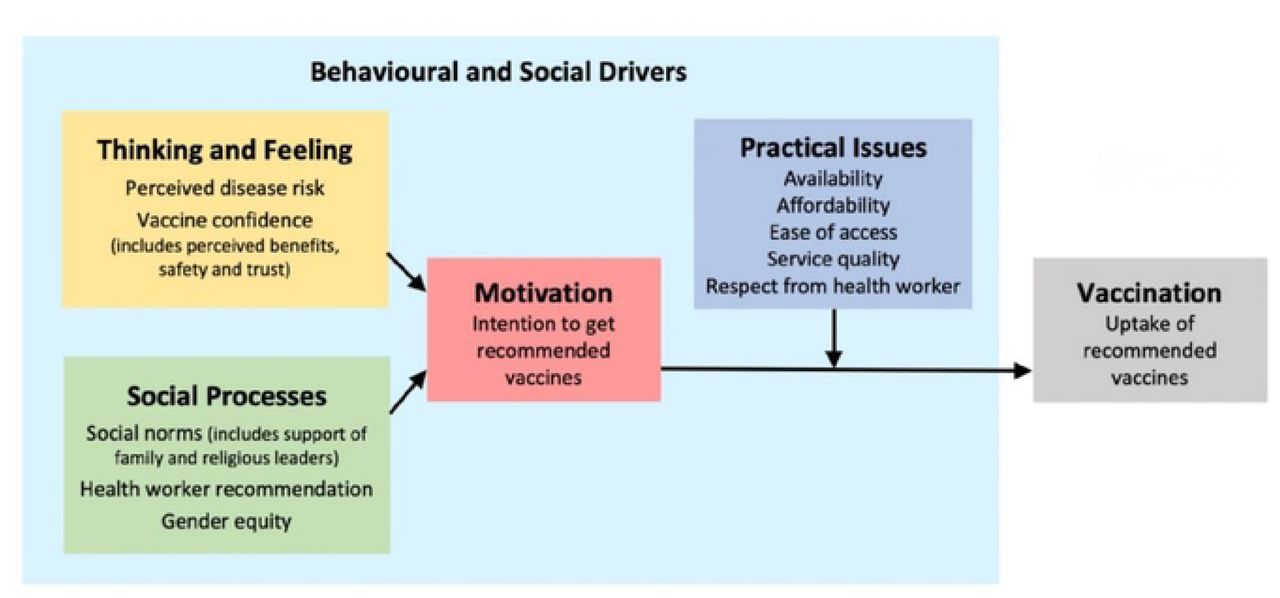 The behallloral andsocial drivers of vaccination (BeSO) framework. Based on the BeSO working group (10) and adapted fromBrewer et al. [11]