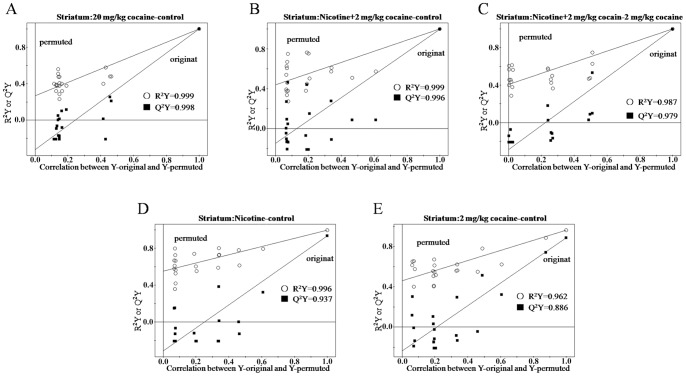 Validation plots of the PLS models after application of OSC in striatum.(A) control vs. 20 mg/kg cocaine; (B) control vs. nicotine +2 mg/kg cocaine; (C) 2 mg/kg cocaine vs. nicotine +2 mg/kg cocaine; (D) control vs. nicotine; (E) control vs. 2 mg/kg cocaine.