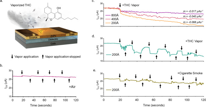 Real-time THC vapor exposure and detection.(a) Schematic showing the application of THC vapor to a ZnPc OTFT, (b) the effects of heated air, (c) the effects of continual THC vapor exposure on 200, 400, and 800 Å ZnPc OTFTs, (d) the effects of periodic THC exposure on a 200 Å ZnPc OTFT, and (e) the effects of 40 ppb cigarette smoke on 200 Å ZnPc OTFTs. A VSD of −50 V was held and a VGS of −40 V and was pulsed at a rate of 20 milliseconds on 80 milliseconds off over a period of 120 seconds while 40 ppb THC vapor was continually or periodically flowed over the surface of the OTFT in a 50 mL chamber. Slope was calculated from 20 to 120 seconds.