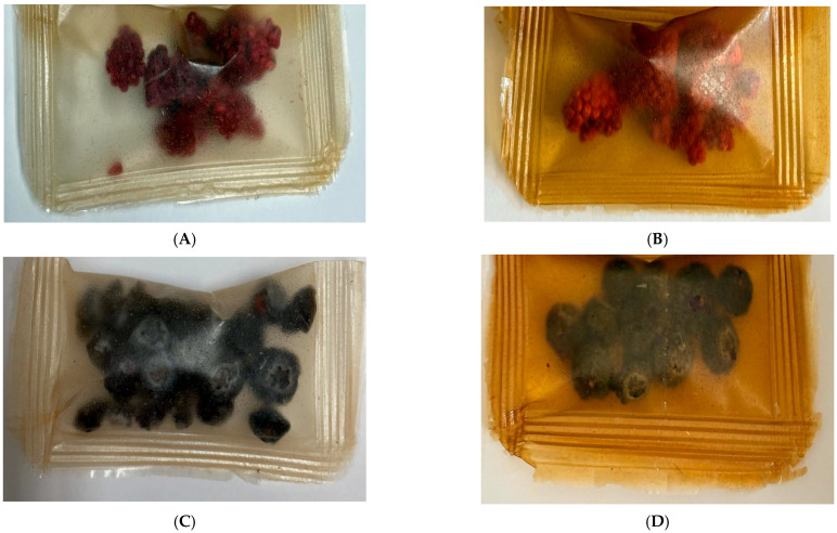 Images of raspberries (A,B) and blueberries (C,D) stored at 0 F after 8 weeks (A,C) and at 4.0 F after 8 weeks (B,D).