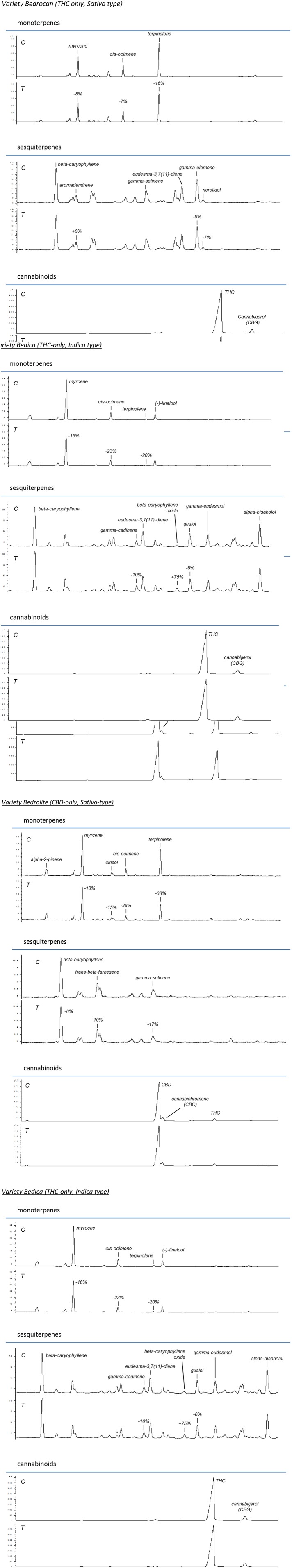 GC profiles of four studied varieties showing monoterpenes, sesquiterpenes, and cannabinoids in separate sections. C, control (non-irradiated); T, treated (irradiated); *: artifact. Numbers indicate percentage of change in treated samples compared to non-treated controls.