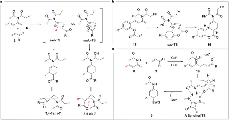 Stereochemical divergence in the cycloaddition of 2-imido- and 2-amido-1,3-dienes with electron-deficient dienophiles: Concerted mechanism vs stepwise pathway.a Concerted exo-selective cycloaddition between 2-imido-1,3-dienes 6 and electron-poor dienophiles 3. b Concerted exo-selective intramolecular cycloaddition of 17. c Stepwise reaction pathway in squaramide-catalyzed reaction between 2-amido-1,3-dienes and electron-poor dienophiles 3.