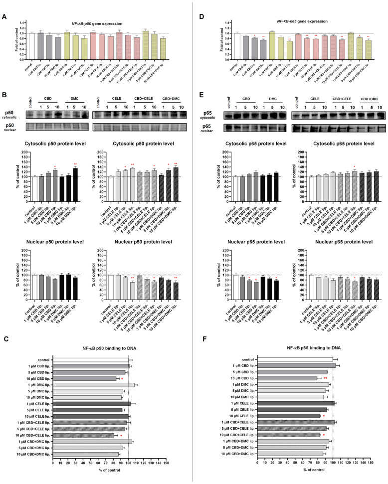 The effect of the liposomes loaded with CBD, DMC, CELE, and their combinations on the p50 and p65 mRNA expression (A,D); translocation from cytosol to nuclei of p50 and p65 (B,E); and p50 and p65–DNA binding capability (C,F) in U-138 MG cells after 24 h incubation. Data (mean ± SEM) from two separate experiments are presented as fold of control, which are defined as 100% for DNA binding capability and protein expression. Representative immunoblots are shown to analyze the cytosolic and nuclear of NF-κB subunits p50 and p65 protein levels (B,E). Bands are presented in the same sequence as the corresponding bars in the graph. A single asterisk (*) and double asterisk (**) denote statistical significance relative to the untreated control cells with p < 0.05 and p < 0.01, respectively.