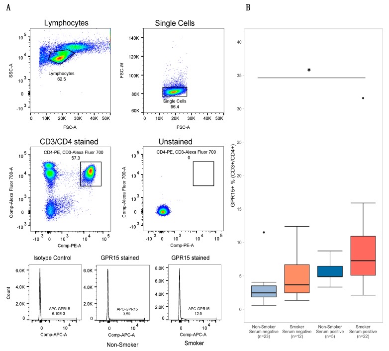 GPR15+ Th cell flow cytometry gating strategy and results stratified by smoking status and serum positivity. Panel (A) depicts the flow cytometry gating strategy used to visualize GPR15+ Th cell percent within the CD3+CD4+ population of peripheral lymphocytes. Histograms at bottom depict GPR15+ Th cell percent data from two subjects, one a “non-smoker”, negative for both self-reported smoking and serum cotinine and tetrahydrocannabinol (THC) , and the other a “smoker”, positive for self-reported smoking and both cotinine and THC. The leftmost histogram depicts the results from the same “non-smoker” using the mouse IgG2a kappa isotype as a negative control. Panel (B) depicts boxplots of Th cell percent for subjects stratified by self-reported smoking status (tobacco and/or cannabis) and serum positivity (cotinine > 1 ng/mL and/or THC > 0.5 ng/mL). Significance codes: * p ≤ 0.05; ** p ≤ 0.01; *** p ≤ 0.001 (Tukey’s Honest Significant Difference).