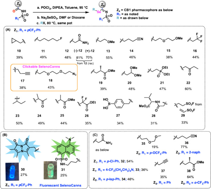 Se augmentation and substrate diversification.