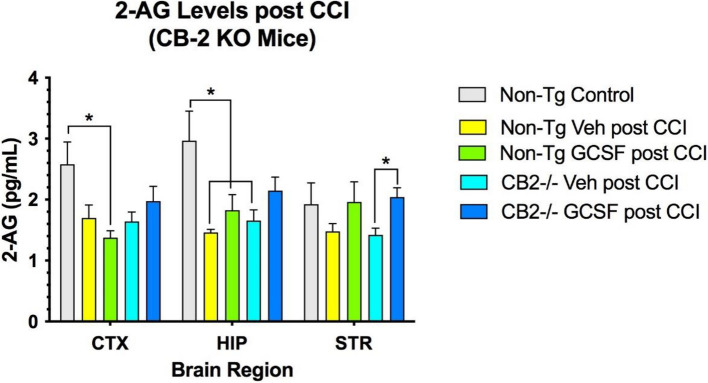 Levels of 2-AG were decreased by CCI in CTX and HIP. In STR 2-AG levels were significantly increased by G-CSF treatment, compared to vehicle treatment (*p < 0.05). 2-way ANOVA showed that treatment effect contributed 41% of total variation (p < 0.05). Brain regions contributed 3% of total variation. (n = 4 mice per cohort). Tukey's multiple comparisons revealed significant differences between controls and post-CCI levels of 2-AG in CTX and HIP and significant differences between treatments with G-CSF and vehicle in STR of CB2R KO mice (* = p < 0.05)