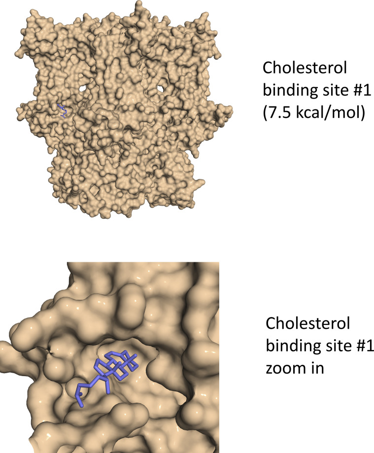 Highest affinity binding site for cholesterol (blue) on HCN4 (PDB ID 7NP4) in the S4 lipid pocket. Calculated with AutoDock Vina.