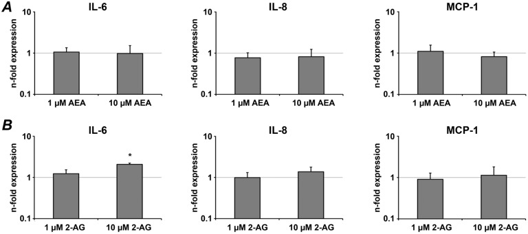 The effect of endocannabinoids on the expression of pro-inflammatory mediators in hPdLCs.hPdLCs were stimulated with AEA (A) or 2-AG (B) and the expression of pro-inflammatory mediators IL-6, IL-8, and MCP-1 was measured by real-time PCR. Changes in gene expression were calculated by 2−ΔΔCt method, taking non-stimulated cells as a reference (2−ΔΔCt = 1) and β-actin as a house-keeping gene. Each value represents the mean ± s.e.m of 4 independent experiments. *Means were significantly compared to the control group and tested with analysis of variance (P<0.05).