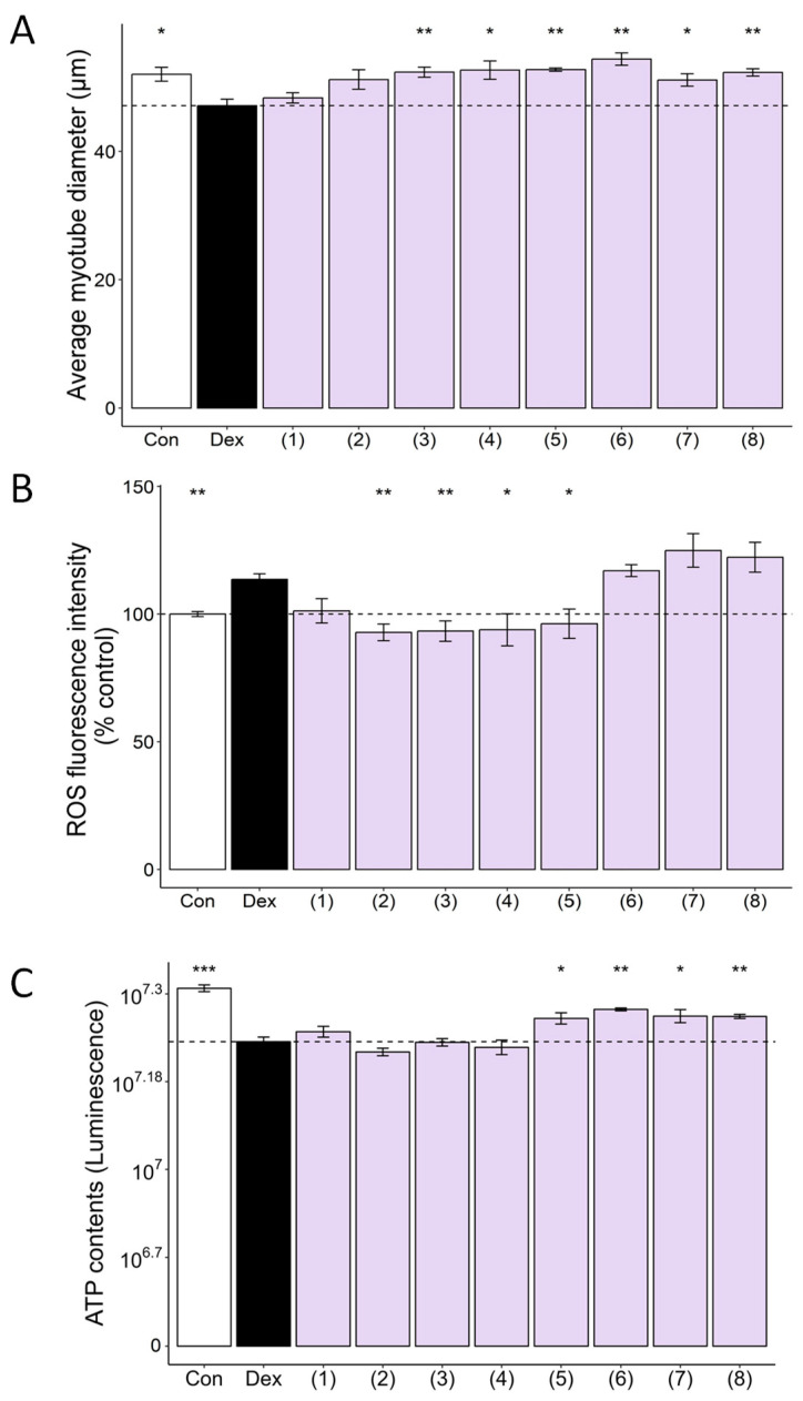 CC-isolated compounds ameliorate Dex-induced muscle atrophy, oxidative stress, and mitochondrial dysfunction in C2C12 myotubes. CC-isolated compounds are protocatechuic acid (1), neochlorogenic acid (2), chlorogenic acid (3), cryptochlorogenic acid (4), graveobioside A (5), apiin (6), vanillic acid (7), and 4-hydroxybenzoic acid (8). (A) Average myotube diameter quantified by ImageJ software. (B) The effect of CC-derived compounds on ROS generation in Dex-treated C2C12 myotubes, as assessed by DCFDA staining. (C) The effect of CC on ATP concentration in Dex-treated C2C12 myotubes. Data are shown as mean ± SE, n = 3–4. * p < 0.05, ** p < 0.01, and *** p < 0.005.