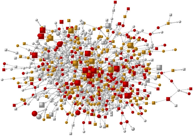 Network graph. Figure 1 is a network graph of the largest component of friends in Wave I of the Add Health study (year 1995), from a single school. Each node represents a subject (there are 800 shown) and its shape denotes gender (circles are female, squares are male). Lines between nodes indicate relationships (arrows point from the naming friend to the named friend). Node colour denotes nightly sleep duration (red for 6 hours or less, orange for 7 hours, white for 8 hours or more) and node size indicates frequency of marijuana use (the smallest nodes do not use marijuana, the largest report using at least daily). The network suggests clustering of both sleep and drug use behavior, and as we show in the statistical analysis, some of the overlap in clustering may result from a causal effect of sleep on drug use. Node placement is based on the Kamada-Kawai algorithm (see Text S1) [50].