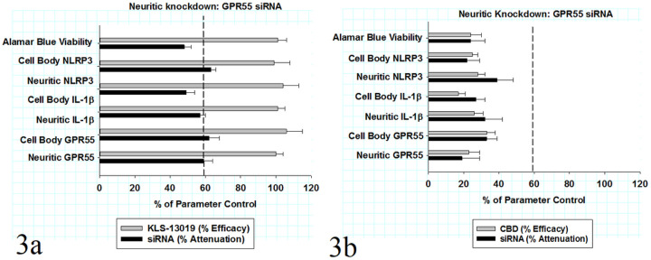 Comparison of KLS-13019 (a) - and CBD (b) -mediated protection from paclitaxel and the attenuation of that protection by GPR55 siRNA pre-treatment in DRG cultures in a 24-hour reversal treatment paradigm Fig.3a: After an 8-hr pretreatment with paclitaxel, DRG cultures were assessed by assays for cell viability (alamar blue) and for six assays of inflammation: GPR55, IL-1b and NLRP3 in both cell bodies and neurites after 16 hours of incubation. All the inflammation assays were conducted by high content fluorescent imaging that utilized antibodies to beta-3 tubulin for neuronal identification. The KLS-13019-mediated reversible protection from paclitaxel-mediated changes are shown by the gray bars as a percentage of their respective parameter control. For all the assays, KLS-13019-mediated protection from paclitaxel resulted in values that were not different from that of control values. The percentage attenuations of the KLS-13019-mediated protection from paclitaxel produced by GPR55 siRNA knockdown are shown by the dark bars. The calculation method for percent attenuation has been described in the methods section. The mean attenuation produced by GPR55 siRNA from all assays was 57 ±2% of their respective responses in cultures treated with 100 nM KLS-13019 and 3 mM paclitaxel. Each value is the mean of twelve well determinations and each of the wells were assessed from 10 fields. Assays were made from duplicate experiments. The vertical dashed reference line depicts the percentage decrease in neuritic GPR55 IR area observed after target knockdown. There were no significant differences in the mean % attenuation among all the assays and the % knockdown of neuritic GPR55 area. Fig 3b: CBD-mediated protection from paclitaxel and the attenuation of that protection by GPR55 siRNA pre-treatment in DRG cultures in a 24-hour reversal treatment paradigm are shown. After an 8-hr pretreatment with paclitaxel, DRG cultures were assessed by the same assays and the same timing as that described in figure 3a. The CBD-mediated reversable protection from paclitaxel-mediated changes is shown by the gray bars as a percentage of their respective parameter control. The mean CBD-mediated protection from paclitaxel for all seven assays was 25 ± 2 % of their respective control values. The percentage attenuations of the CBD-mediated protection from paclitaxel produced by GPR55 siRNA knockdown are shown by the dark bars. The mean attenuation produced by GPR55 siRNA from all assays was 28 ± 3 % of their respective responses in cultures treated with 10 mM CBD and 3 mM paclitaxel. Each value is the mean of twelve well determinations and each well were assessed from 10 fields. Assays were made from duplicate experiments. The vertical dashed reference line depicts the percentage decrease in neuritic GPR55 IR area observed after target knockdown. In the assays of all the CBD-treated cultures, the mean % attenuation produced by GPR55 siRNA was less than one-half of the % knockdown of neuritic GPR55 area.