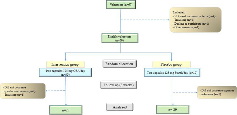 Flowchart of the study from baseline until the end of the study [15]