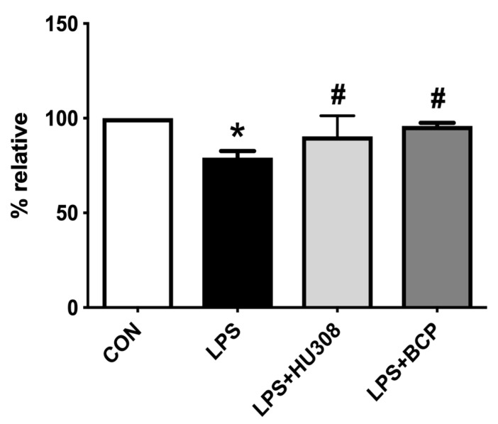 Capillary perfusion quantified through functional capillary density (FCD) within the bladder microcirculation of female CD-1 mice for the following experimental groups: control (CON; n = 9), lipopolysaccharide (LPS)-induced IC (LPS; n = 9), LPS-induced IC treated with HU308 (5 mg/kg, LPS + HU308; n = 4), LPS-induced IC treated with BCP (100 mg/kg, LPS + BCP; n = 7). Saline, LPS, BCP, and HU308 were all administered via intraperitoneal injection. Data are presented as percentage relative to the control group. * p < 0.05 vs. CON. # p < 0.05 vs. LPS.