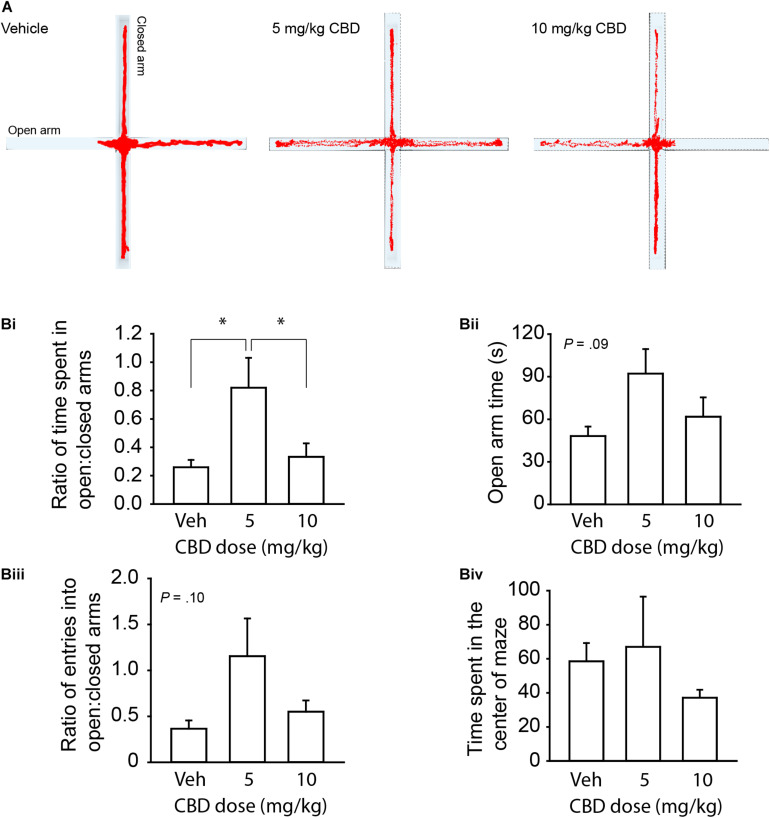 CBD dose dependently reduces anxiety-like behavior on the EPM in adult mice. (A) Representative activity traces of subjects administered vehicle, 5 mg/kg CBD, and 10 mg/kg CBD. (Bi) Summary bar chart showing that 5 mg/kg CBD increased the ratio (left) of time spent in the open arm relative to the closed arm (0.82 ± 0.21, n = 6) compared to vehicle (0.26 ± 0.05, n = 6) and 10 mg/kg (0.33 ± 0.10, n = 6) treated mice. (Bii) Summary bar chart showing the trend (P = 0.09) for CBD to affect time spent in the open arms by one-way ANOVA. 5 mg/kg treated mice spent more time in the open arm (92.10 ± 17.31 s) compared to vehicle (48.00 ± 6.78 s) and 10 mg/kg (61.8 ± 13.68 s) treated mice. (Biii) Summary bar chart showing a trend (P = 0.10) for CBD to affect the ratio of entries into the open:closed arms of the EPM by one-way ANOVA. 5 mg/kg treated mice had a higher ratio of entries into the open arms compared to the closed arms (1.16 ± 0.41) compared to vehicle (0.37 ± 0.09) and 10 mg/kg (0.55 ± 0.12) treated mice. (Biv) Summary bar chart showing that there were no differences between treatment groups in time spent in the center square of the EPM. ∗indicates P < 0.05 by Tukey’s HSD post hoc comparisons.
