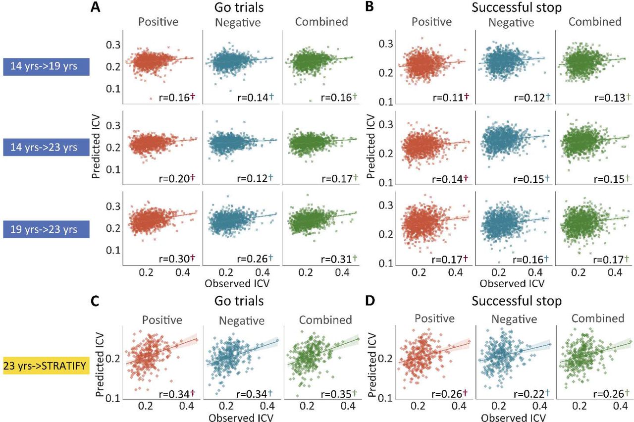 The predictive performances of intra-individual coefficient of variation (ICV) across timepoints and generalization in STRATIFY. Predictive performances of ICV (Panel A) derived from Go trials and (Panel B) derived from Successful stop trials. The top, middle, and bottom rows of (A) and (B) panels show the predictive performance: using models defined at age 14 to predict age 19 (i.e., 14 yrs -> 19 yrs), using models defined at age 14 to predict age 23 (i.e., 14 yrs -> 23 yrs), and using models defined at age 19 to predict age 23 (i.e., 19 yrs ->23 yrs) respectively. Generalization of predictive networks predicting ICV defined at age 23 in STRATIFY (i.e., 23 yrs -> STRATIFY) derived from (Panel C) Go trials and (Panel D) Successful stop trials. The red, blue, and green scatter represent positive, negative, and combined networks. †, P < 0.001.