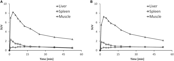 Representative time activity curves (TACs) showing the standardized uptake values (SUV) of spleen, liver, and muscle in the time course of 60 min after injection of [11C]AAT-015 into Wistar rats. (A) Injection of tracer only; (B) Injection of tracer and 1.5 mg/kg GW405833 (shortly before tracer).