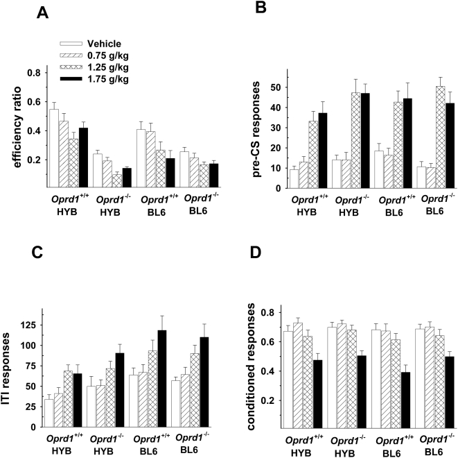 Oprd1 −/− and Oprd1 +/+ mice are impaired by ethanol in the signaled nose poke task.A: Ethanol produced a dose-dependent decrease in efficiency ratios (rewards/nosepokes) in all groups of animals, with knockout mice displaying lower efficiency ratios throughout testing. B: Ethanol increased nose pokes that occurred during the 1–8 s pre-CS period and during the inter-trial interval (ITI) (C). Both wild-type and knockout mice on a BL6 background exhibited higher rates of responding than HYB mice during the ITI but this effect did not interact with dose or with group. D: Ethanol altered conditioned responses in both Oprd1 +/+ and Oprd1 −/− mice, although only the highest dose (1.75 g/kg) produced an effect. Oprd1+/+ HYB, n = 9; Oprd1 +/+ BL6, n = 12; Oprd1 −/− HYB, n = 8; Oprd1 −/− BL6, n = 10.