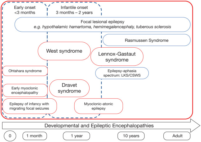 Schematic of developmental and epileptic encephalopathies (DEEs) with onset at different ages.Source: Reproduced from Scheffer and Liao, with permission from Elsevier. 3 CSWS, continuous spike-and-wave during sleep; LKS, Landau–Kleffner syndrome.