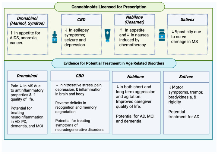 Cannabinoids licensed for prescription and evidence for potential treatment in age-related disorders. Upwards arrows indicate an increase whereas downwards arrows indicate a decrease. Created with BioRender.com.