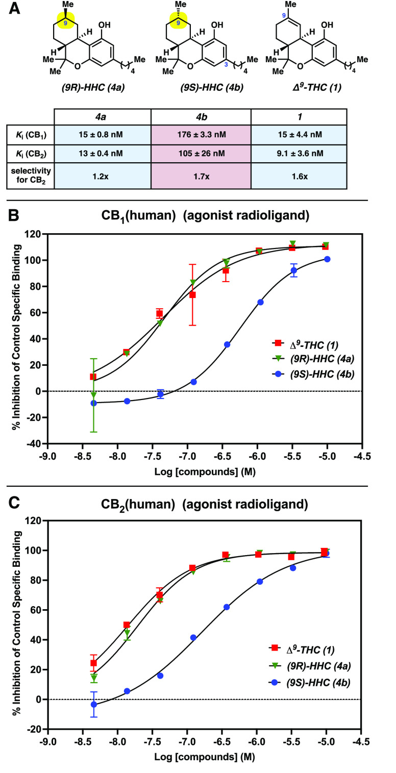(A) Summary of radioligand binding affinity studies; error values represent the standard deviation. (B) Plotted inhibition of binding for human CB1 cannabinoid receptor in transfected Chem-1 cell lysate after treatment with 1, 4a, and 4b. (C) Plotted inhibition of binding for human CB2 cannabinoid receptor in transfected CHO cell lysate after treatment with 1, 4a, and 4b. For all experiments, data represent two replicate experiments, with error bars showing standard deviation (error bars omitted for clarity if the range is smaller than the data symbol), and the Y-intercept was constrained to zero, unless otherwise noted (see the SI for details).