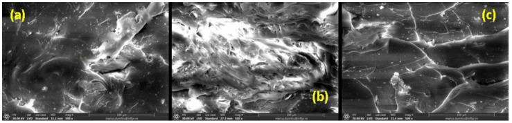 SEM micrographs of non-irradiated NR-S sample (a) and irradiated at 150 kGy (b) and 450 kGy (c) (magnification of 500).