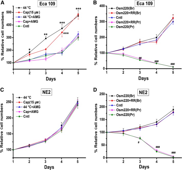 Effects of overactivation of TRPV1 and TRPV4 on the proliferation of Eca109 and NE2 cells. The proliferation curves were constructed based on OD values (for details, see Methods). (A) Eca109 cell growth was enhanced significantly by the treatment of 15 μm capsaicin and recurrently brief exposure to heat (44 °C); the TRPV1 antagonist AMG9810 (10 nm) could abolish these effects. (B) Eca109 cell proliferation was not affected by recurrently brief exposure to hypotonic solutions (220 m Osm), whereas the prolonged exposure resulted in a large amount of cell death and pronounced decrease in cell numbers. Note that the TRPV antagonist ruthenium red (15 μm) could not reverse the prolonged effect. (C) NE2 cell growth was neither affected by the treatment of 15 μm capsaicin nor by 44 °C heat stimulation. (D) NE2 cell proliferation was not affected by recurrently brief exposure to hypotonic solutions (220 m Osm), while prolonged exposure resulted in almost complete cell death. Ruthenium red (15 μm) could not reverse the prolonged effect. Cap: capsaicin; AMG: AMG9810; Osm220: osmotic pressure 220 mm Hg; RR: ruthenium red; Br: brief treatment; Pr: prolonged treatment; Cntl, control. * or #P < 0.05, ** or ##P < 0.01, *** or ###P < 0.001.