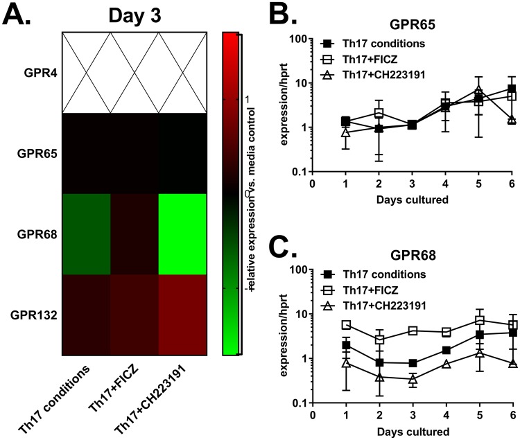 Expression of proton-sensing GPRs in Th17 cell cultures. (A) Heat map of proton-sensing GPRs from day 3 cultures. Data are from the same experiments described in Figs 3 and 4. Empty sections indicate that GPR4 was not expressed. (B) and (C) Expression of GPR65 and GPR68 in cultures containing Th17-inducing cytokines (Th17), measured by real-time PCR each day for 6 days, as indicated. Data are from the same experiments described in Fig. 1A.