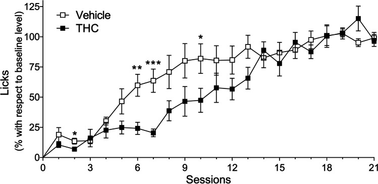 Chronic THC administration delayed SID acquisition. Percentage of licks with respect to the average level reached during the last five sessions of the acquisition phase. The percentage of licks is represented over the course of 21 SID sessions (mean ± SEM). White squares represent vehicle pre-treated rats (n = 9); black squares represent THC (mg/kg) pre-treated rats (n = 9). ***p < 0.001, **p < 0.01, *p < 0.05 using Bonferroni post-test