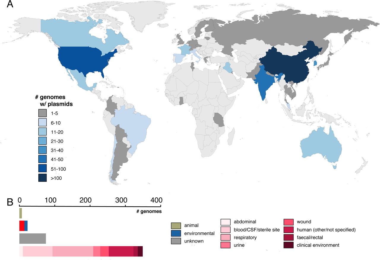 Geographical distribution and isolation sources of publicly available A. baumannii strains carrying plasmids. A) Geographical distribution of plasmid-containing strains, colour-coded by the number of genomes accessible in GenBank as of August 2022. B) Isolation sources of plasmid-carrying strains, depicted with a scale bar provided above.