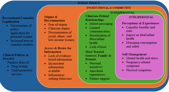 Perinatal cannabis use decision-making model