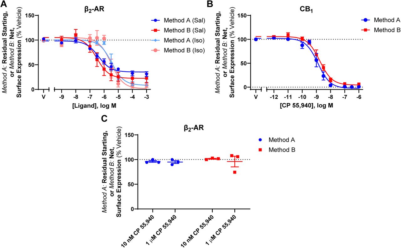 Trafficking of β2-AR and CB1 HEK cells stably expressing β2-AR were treated with(A) a Salbutamol (Sal) or Isoproterenol (Iso) dilution series, or (C) an internalising (10 nM) or anterograde trafficking-inducing (1 µM) concentration of CP 55,940 for 3 h. (B) HEK cells stably expressing CB1 were treated with a CP 55,940 dilution series for 3 h. Residual starting surface expression (Method A) and net surface expression (Method B) were measured in all assays. Data are presented as mean ± SEM from three independent experiments.