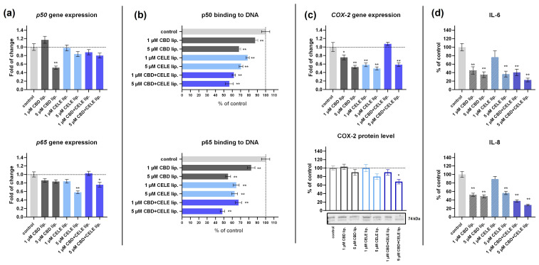 The effect of the DOTAP:POPC liposomes loaded with CBD, CELE, and their combinations on p50 and p65 gene expression (a); DNA-binding capacity of p50 and p65 (b) in U-87 MG cells after 48 h incubation. Panel (c) presents the COX-2 gene expression and COX-2 protein levels in U-87 MG cytosolic fraction. Results of the multiplex MAGPIX immunoassay present IL-6 and IL-8 levels in U-87 MG cell lysates after 48 h of treatment (d). Data (mean ± SEM) from at least two separate experiments are presented as a fold of the control, which is defined as 100% for DNA-binding capacity and protein expression. A single asterisk (*) and double asterisk (**) denote statistical significance relative to the untreated control cells with p < 0.05 and p < 0.01, respectively.
