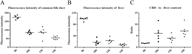 Evaluation of the effect of 10 mg ICG injected at 4 time points (8, 10, 12 and 14 h prior to surgery). A The FI of the CBD in the 8 h group was significantly different from that in the 14 h group (Bonferroni method, adjusted p < 0.001). B The liver FI of the 8 h group was higher than that of the 10 h group (Bonferroni method, adjusted p = 0.042) and the 14 h group (Bonferroni method, adjusted p < 0.001). C The CBD-to-liver contrast of the 8 h group was lower than that of the 10 h group (Bonferroni method, adjusted p = 0.013) and the 14 h group (Bonferroni method, adjusted p = 0.001)