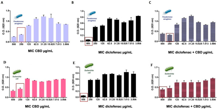 Antibacterial activity of cannabidiol (CBD), diclofenac (DFNAC), and the CBD-DFNAC combination against Gram-negative bacteria, Escherichia coli and Pseudomonas aeruginosa. (A–C) Antibacterial activity against E. coli: (A) MIC of CBD, (B) MIC of DFNAC, and (C) MIC of the CBD-DFNAC combination. (D–F) Antibacterial activity against P. aeruginosa: (D) MIC of CBD, (E) MIC of DFNAC, and (F) MIC of the CBD-DFNAC combination. Optical density (OD620) values were measured following incubation with increasing concentrations of the tested compounds. No minimum inhibitory concentration (MIC) was reached within the tested concentration range for CBD, DFNAC, or the CBD-DFNAC combination against either Gram-negative species. Data are presented as mean ± standard deviation (SD) from three independent experiments. Statistical analysis of OD620 values across concentrations was performed using one-way ANOVA followed by Tukey’s multiple-comparison test, with p < 0.05 considered statistically significant. The red boxes indicate the optical densities at concentrations relevant to MIC of CBD, DFNAC and DFNAC-CBD.