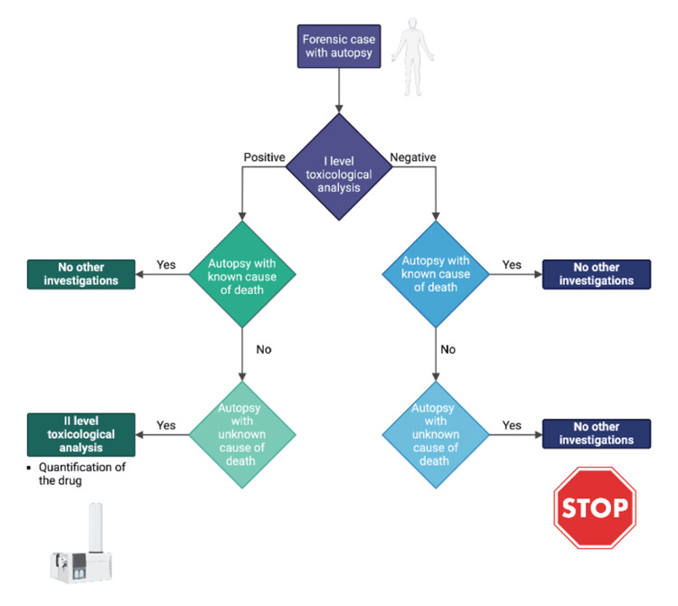 Algorithm for carrying out toxicological investigationsCreated with biorender.com