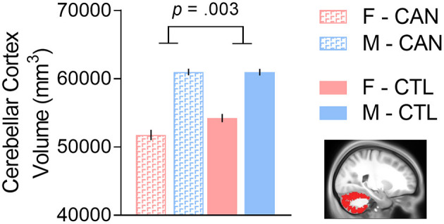 There was a cannabis group-by-sex interaction in cerebellar cortex volume, such that females with a history of chronic cannabis use had smaller volumes than the other groups. We controlled for tobacco usage and total intracranial volume in the analysis. F, Female; M, Male; CAN, Chronic cannabis use group; CTL, control group.