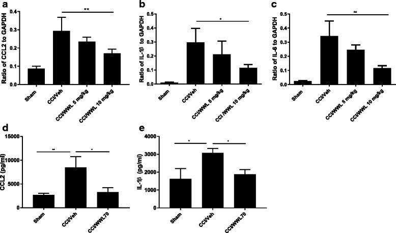 WWL70 treatment attenuated both mRNA and protein level of pro-inflammatory cytokines and chemokines in the ipsilateral sciatic nerve of mice after CCI. RNA isolated from sciatic nerves removed from mice 7 days post-CCI surgery were subjected to qRT-PCR analysis. CCL2 (a), IL-1β (b), and IL-6 (c) expressions were significantly elevated after CCI and reduced by WWL70 at 10 mg/kg, but not at 5 mg/kg treatment. *p < 0.05 and **p < 0.01 CCI/WWL70 (10 mg/kg) compared to CCI/vehicle group (mean ± S.E.M., n = 10/group). The production of CCL2 (d) and IL-1β (e) in sciatic nerve was measured by ELISA and shown to be significantly increased in the vehicle group compared to the control group (*p < 0.05 and **p < 0.01) and dramatically reduced by WWL70 (10 mg/kg). (*p < 0.05, mean ± S.E.M., n = 5/group)