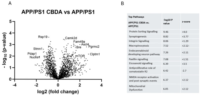Network and pathway analysis of cortical protein expression in CBDA-treated APP/PS1 compared to vehicle-treated APP/PS1 mice. (A) Volcano plot: data presented as log2 (fold change) versus -Log10 (p-value). Statistical significance set using unpaired Student’s t-tests. (B) Canonical pathways (ranked by p-value, with positive and negative Z-scores predicting activation and inhibition, respectively) show predicted activation of protein sorting, endocannabinoid, macropinocytosis, and synaptogenesis signalling with reduced mitochondrial dysfunction. (C) Network 1: data were imputed into Ingenuity Pathway Analysis (Qiagen) and are the output of the pathway analysis. The main enriched network (ranked by p-value) altered in APP/PS1 CBDA treated vs. vehicle-treated APP/PS1 mice shows decreased expression of mitochondrial proteins but predicted activation of mitochondrial oxidative phosphorylation and predicted inhibition of both ERK and proinsulin signalling. (D) Network 2: within the second highest ranked network, there is predicted inhibition (blue arrows) of both Fam20c proteins and platelet alpha granule release. The second highest network (ranked by p-value) demonstrates decreased expression of APLP2, Scg2, and Scg3, resulting in converging predicted inhibition of Fam-20. See Figure 7 for the prediction legend.