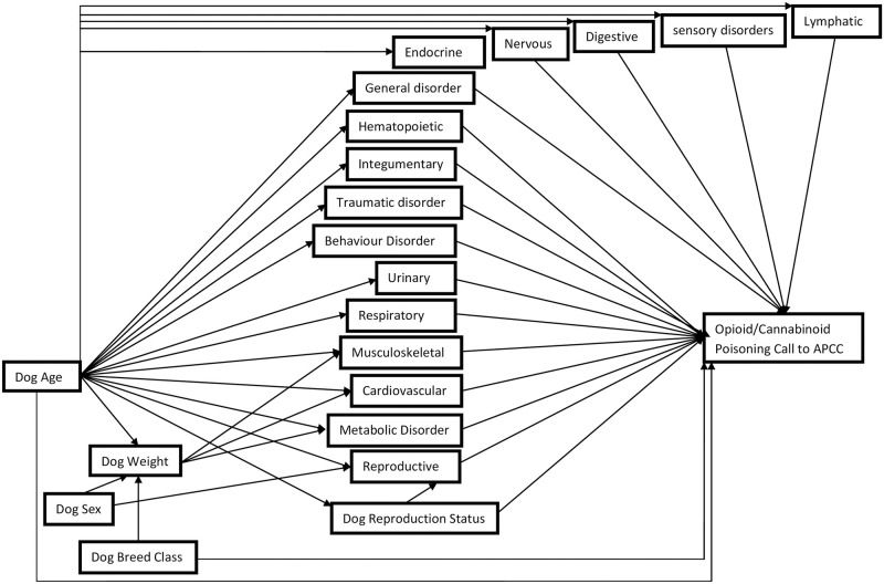 Causal diagram depicting the relationship between dog characteristics and disorder type and calls being related to an intoxication with a cannabinoid or opioid.