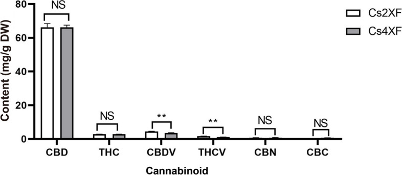 Cannabinoid content of tetraploids and diploids. Data are presented as means ± standard error (n = 9). Statistical significance is calculated using Student’s t-test; ‘**’ and ‘NS’ indicate a significant difference at the p < 0.01 level and no significant difference at the p < 0.05 level, respectively. DW, dry weight